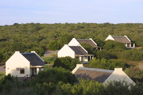 Addo Main Camp (2)